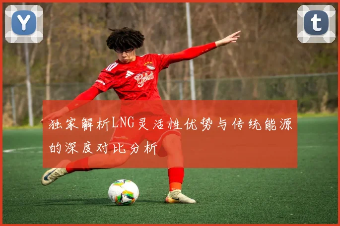 独家解析LNG灵活性优势与传统能源的深度对比分析