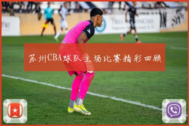 苏州CBA球队主场比赛精彩回顾